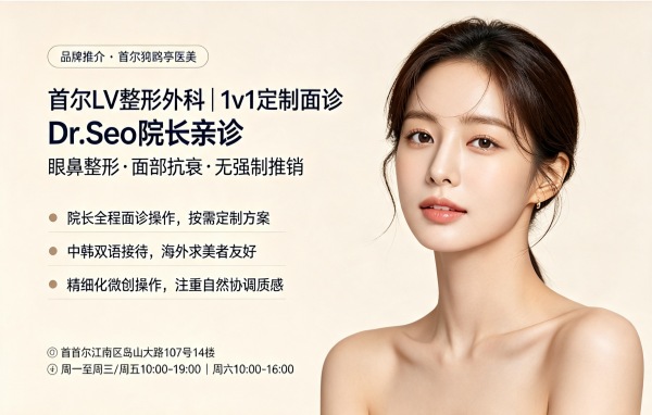 How is LV Plastic Surgery (Apgujeong)? 1:1 Customised Consultation + Eye/Nose/Anti-Ageing + Dr.Seo Direct Care – No Hard Selling (2026)