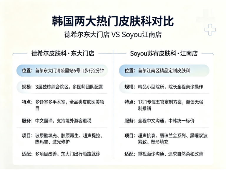 THE HEAL Dongdaemun vs. Soyou Dermatology: Which One to Choose? Scale, Pricing, and Doctors Explained