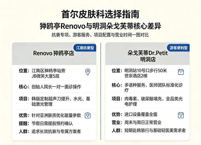 Renovo Apgujeong vs. Dr.Petit Myeongdong: Which One Suits You Better?