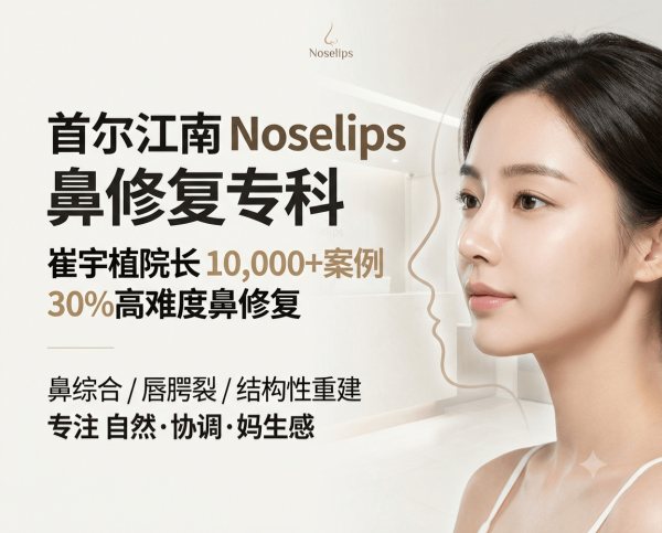 Seoul Gangnam Noselips Rhinoplasty Specialty Clinic | Director Choi Woo-sik (10,000+ Cases · 30% High-Difficulty Revisions) · Rhinoplasty / Cleft Lip & Palate / Natural Nose Surgery